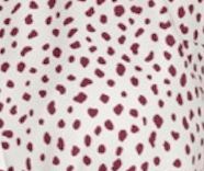 Cream / Burgundy Spot Print